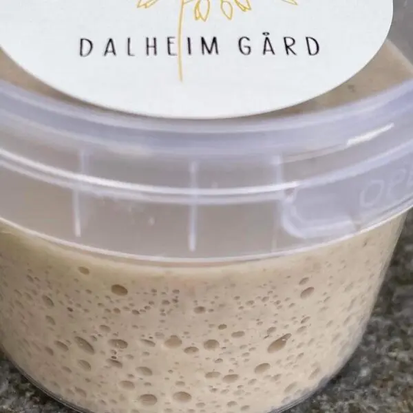 Økologisk surdeigsstarter
