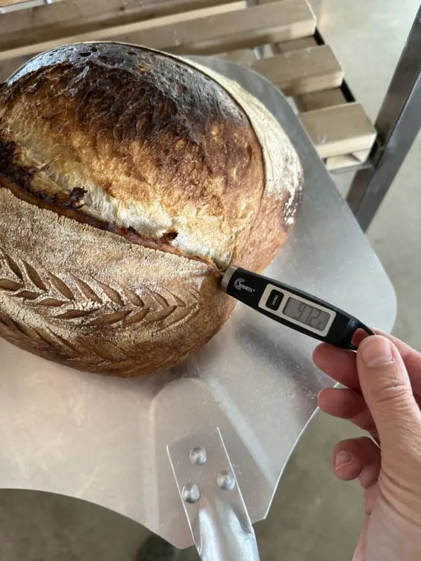 Temperaturmåler- det viktigste redskapet i surdeigsbaking